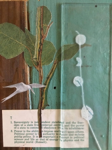 Mixed Media Collage with Tern + Eucalyptus / Main Image